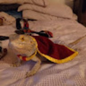 Meet your Posher, Claire